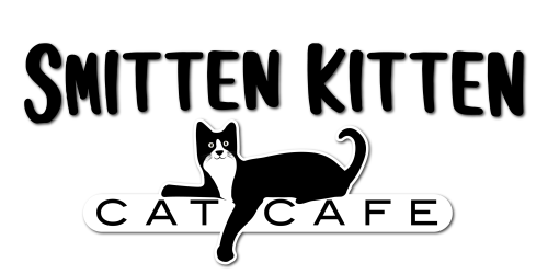 Smitten Kitten Cat Cafe